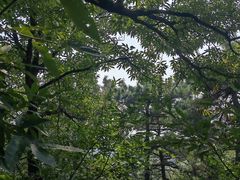 -北京西山国家森林公园