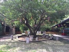 景点-盈香心动乐园