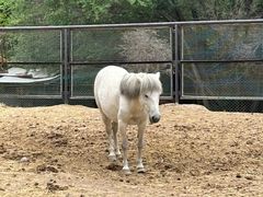 -青藏高原野生动物园