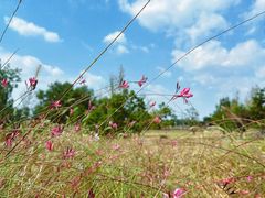-汉长安城未央宫国家考古遗址公园