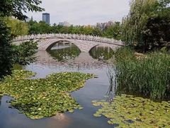 -大连植物园