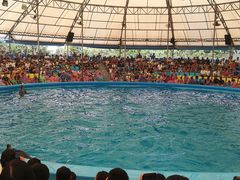 -尼莫海豚馆