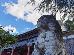 -阿鹏故事云南野生菌火锅(人民路店)