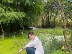 -溱湖国家湿地公园