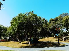 -香山湖公园