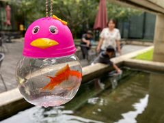 -廊坊固安福朋喜来登酒店