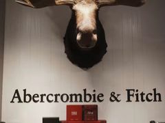 -Abercrombie & Fitch(天环广场店)