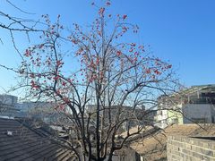 -自如ZSPACE四合院艺术餐厅