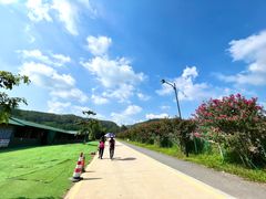 -黄埔油麻山森林公园