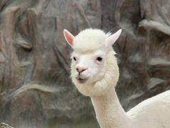 -上海大自然野生昆虫馆