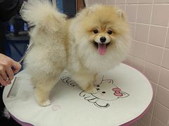 -FAELING PETS美天灵宠物(富力广场店)