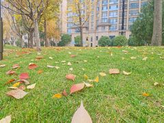 -唐城墙遗址公园