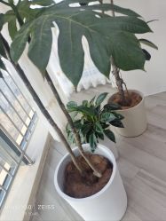 -HEYAN荷妍专业脱毛连锁机构
