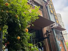 -77号渔船·蒸海鲜青岛菜(积米崖店)