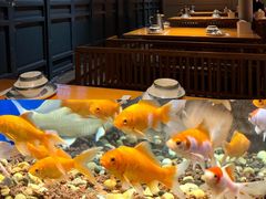 -蚝翅·海鲜粥·烧烤·龙虾季(海曙天一店)