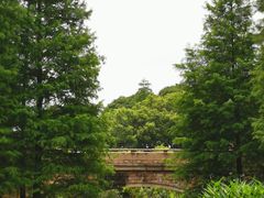 -云溪植物园