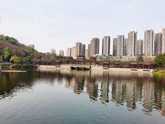 -重庆彩云湖湿地公园