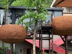 -火炉山森林公园