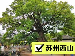 -西山风景区