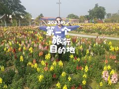 -广东花都香草世界旅游度假区