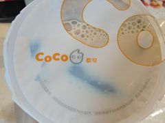 -CoCo都可(北新桥店)