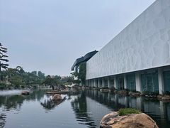 -罗红摄影艺术馆