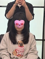 -YESIDO椰岛造型