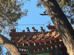 -丽江庭院·云南野生菌·海鲜火锅(鼓楼四合院店)