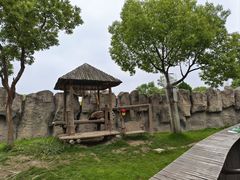 -上海野生动物园