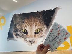 -旧金山现代艺术博物馆