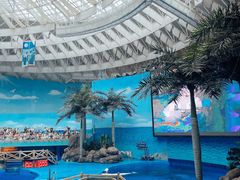 -海合安成都极地海洋公园