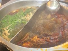 -金鼎雪山牦牛杂火锅(理县总店)