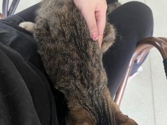 -中田健身工作室(嘉定江桥店)