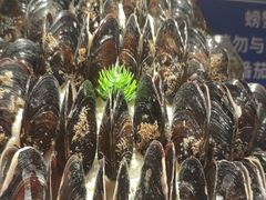 -星伦多自助料理·涮烤一体(江桥万达店)