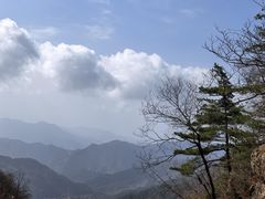 -王顺山国家森林公园
