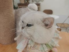 -共舞时光猫咖·狗咖(新街口店)