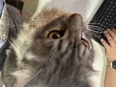 -宠爱国际维尼动物医院·疑难骨科·神经外科·肿瘤科(丰潭路店)