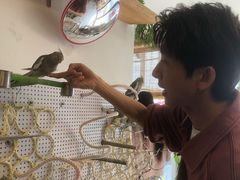 -吉丁鸟咖·异宠·寄养