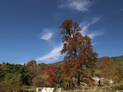 -塔川景区