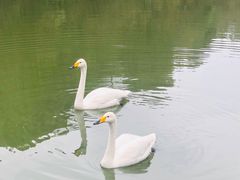 -千岛湖东南湖区