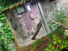 -上海大自然野生昆虫馆