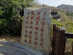 -怪坡茶馆
