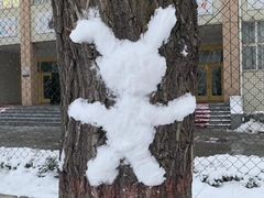 -山西医科大学(迎泽校区)