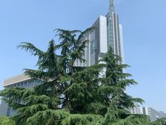 -杭州文化广播电视集团