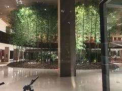 -北京望京凯悦酒店The Lounge大堂酒廊