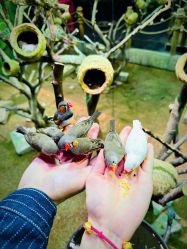 -Zoolung Zoolung动物主题公园(海信广场店)