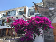 -大理无舍度假酒店