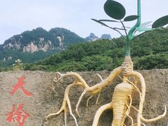 -丹东天桥沟景区