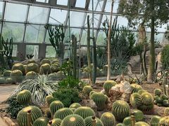 -北京植物园-展览温室