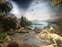 -辽宁古生物博物馆